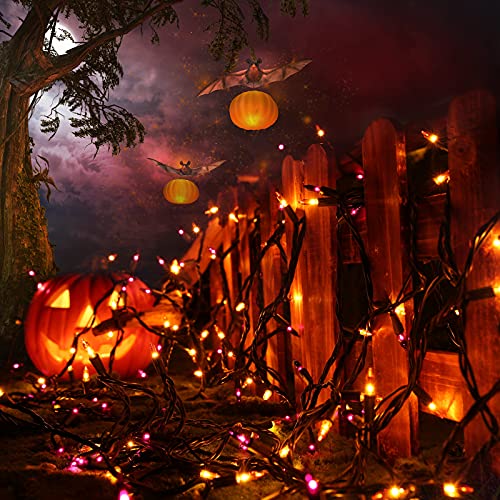Toodour Orange & Purple Halloween Lights, 33ft 100 Count Incandescent Halloween String Lights, UL Certified Connectable Mini Bulbs Halloween Lights for Outdoor, Indoor, Garden, Porch, Halloween Decor