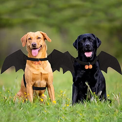 Bowtus Halloween Dog Bat Wings Pet Costume with Pumpkin Bells for Halloween Party Decorations, Cute Puppy Dog and Cat Collar Bat Wings Cosplay Party Dress Up Funny Cool Appare(Large)