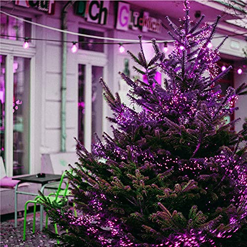 WATERGLIDE 300 LED Purple Halloween String Lights, 98.5FT 8 Lighting Modes Light, Plug in String Waterproof Mini Fairy Lights for Outdoor Holiday Christmas Wedding Party Bedroom Decorations