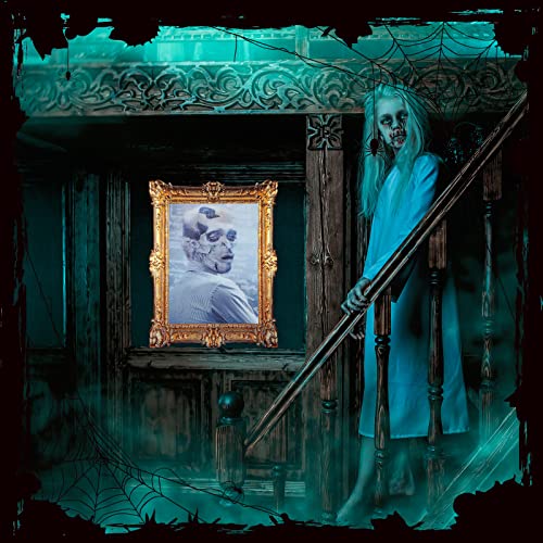 Halloween 3D Changing Face Moving Picture Frame Scary Haunted Mansion Decor Spooky Ghost Portrait Halloween Wall Decoration for Window Wall Halloween Party Haunted House (Novel Style, 8 Pcs)
