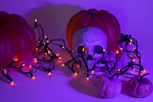 100 Count Halloween Lights Outdoor, Indoor | Orange String Lights | Orange Lights | Mini String Lights | Outdoor Orange Halloween Lights | Outdoor Halloween Lights | Halloween Lights Indoor
