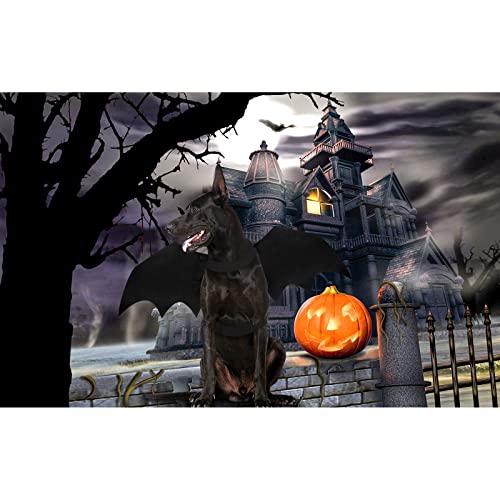 Malier Halloween Dog Costume Cool Halloween Dog Bat Wings Pet Costume Cat Costume Cosplay Decoration for Small Mediume Large Dogs Cats (X-Large)