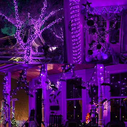 YIQU Purple Extra-Long 144FT Solar Halloween Lights Outdoor, 2-Pack Each 72FT 200 LED Solar String Lights, 8 Lighting Modes Solar Outdoor Halloween Decorations for Tree Garden Patio Party (Purple)