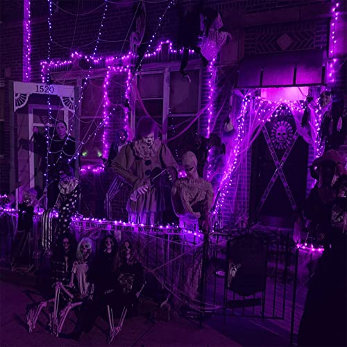 YIQU Purple Extra-Long 144FT Solar Halloween Lights Outdoor, 2-Pack Each 72FT 200 LED Solar String Lights, 8 Lighting Modes Solar Outdoor Halloween Decorations for Tree Garden Patio Party (Purple)