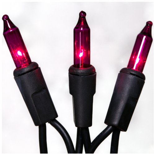 Sylvania V34708-88 100-Count Purple (Not Dark Purple Slightly Pinkish) Halloween Lights Set with Black Wire