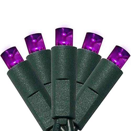 UL Listed 50 Count 5mm Led Lights,Outdoor Mini Led String Lights for Garden Patio Halloween Christmas Trees Lighting Decorations,17 Feet Green Wire,Purple Color