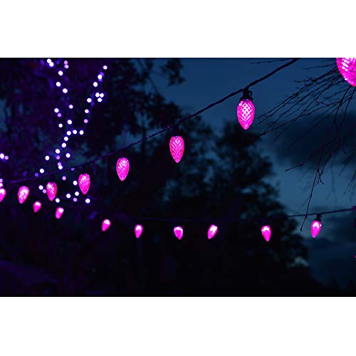 Twinkle Star C9 Halloween String Lights, 50 LED 33ft Outdoor Fairy Lights with 29V Safe Adaptor, Extendable Green Wire Christmas String Lights for Patio Xmas Tree Wedding Party Decoration, Purple