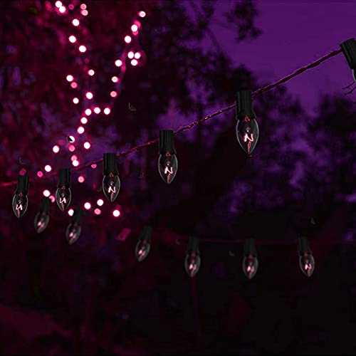 GOOTHY 25 Pack C7 Halloween Replacement Light Bulbs, Transparent Black Light Purple Christmas Lights for Outdoor Patio String Lights, C7/E12 Candelabra Base, 5 Watt, Dark Purple