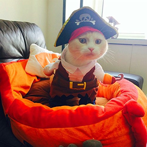 Idepet New Funny Pet Clothes Pirate Dog Cat Costume Suit Corsair Dressing up Party Apparel Clothing for Cat Dog Plus Hat (Small)
