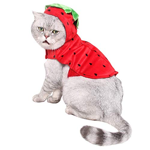 ANIAC Pet Halloween Costume Red Strawberry Hoody Christmas Coat with hat Warm Sweater Santa Poncho for Cats and Small Dogs