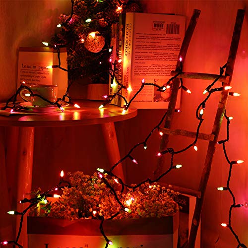 ⭐️Halloween String Lights - 24ft 100 Incandescent Orange&Purple&Green Mini Bulbs Lights, Halloween Lighting Decor for Outdoor&Indoor Use, Fairy Garden, Yard, Home, Party, Holiday, Halloween Decoration