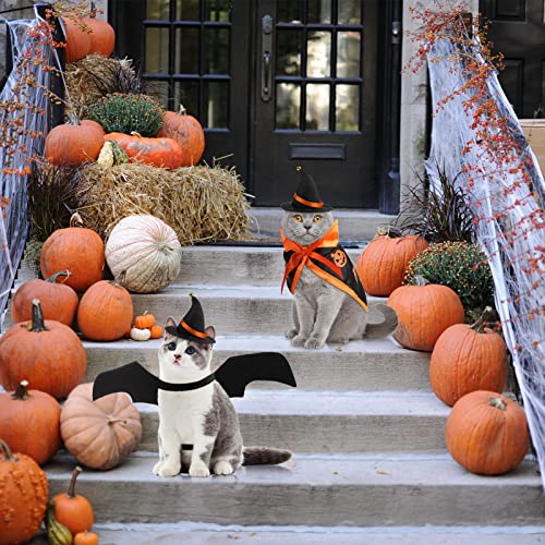 Frienda 3 Pieces Pet Halloween Vampire Costume Pet Bat Vampire Cloak Wizard Hat for Halloween Party, Pet Cosplay(Orange,Pumpkin)