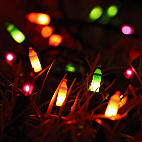 ⭐️Halloween String Lights - 24ft 100 Incandescent Orange&Purple&Green Mini Bulbs Lights, Halloween Lighting Decor for Outdoor&Indoor Use, Fairy Garden, Yard, Home, Party, Holiday, Halloween Decoration