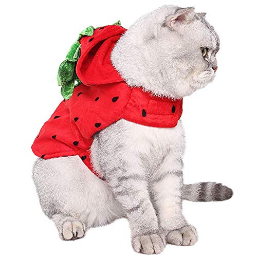 ANIAC Pet Halloween Costume Red Strawberry Hoody Christmas Coat with hat Warm Sweater Santa Poncho for Cats and Small Dogs