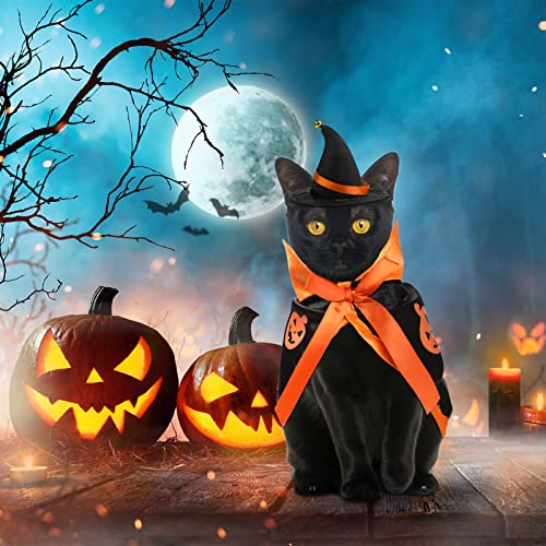Frienda 3 Pieces Pet Halloween Vampire Costume Pet Bat Vampire Cloak Wizard Hat for Halloween Party, Pet Cosplay(Orange,Pumpkin)