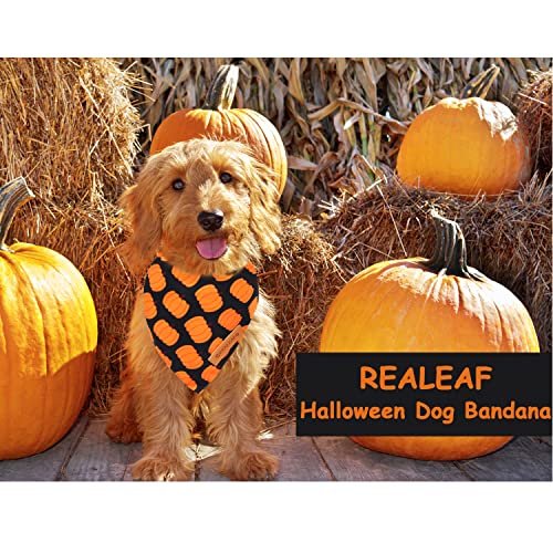 Realeaf Halloween Dog Bandanas 2 Pack, Pumpkin Thanksgiving Dog Bandana Fall Dog Scarf for Boy and Girl, Premium Durable Fabric, Orange Holiday Bandana for Large and Extra Large Dogs (X-Large)