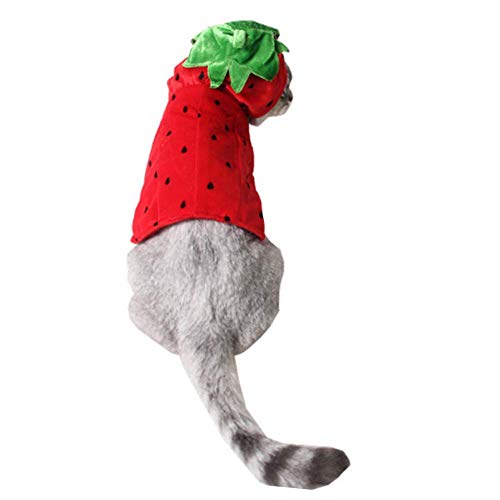 ANIAC Pet Halloween Costume Red Strawberry Hoody Christmas Coat with hat Warm Sweater Santa Poncho for Cats and Small Dogs