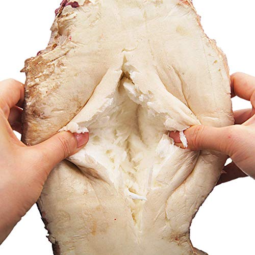 Pawliss Halloween Decorations, Scary Fake Bloody Body Parts Props Severed Cut Off Head with Eyeball Hanging