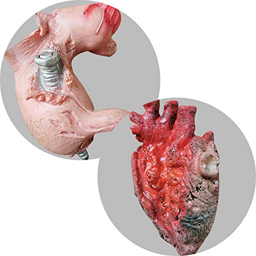 Medou Halloween Blood Props Fake Scary Severed Hand Broken Body Parts for Haunted House Halloween Zombie Party Decorations (9 Pcs)