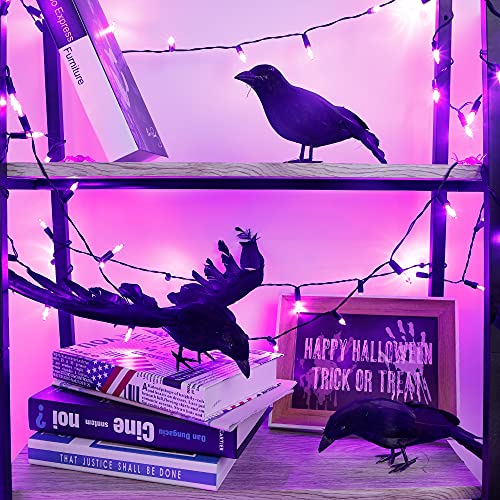 ATDAWN Halloween Black Feathered Crows, Realistic Looking Raven, Halloween Prop Decor, Spooky Halloween Party Home Decorations, 3 Pack