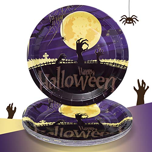 60 Count Halloween Party Plates 9" , Disposable Halloween Paper Dinner Plates Bulk with Pumkins and Witch Printed for Halloween Party Supplies and Decorations