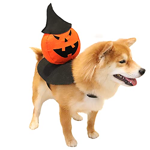 HOTMAI Dog Costumes, Glowing Pet Costume for Night, LED Lights Built-in, Holiday Thanksgiving Christmas Pet Costume for Small Medium Large Dogs and Cats, Puppy Cosplay Accessories -00M