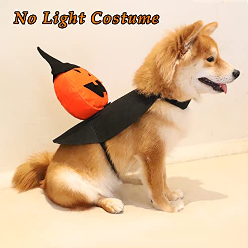 HOTMAI Dog Costumes, Glowing Pet Costume for Night, LED Lights Built-in, Holiday Thanksgiving Christmas Pet Costume for Small Medium Large Dogs and Cats, Puppy Cosplay Accessories -00M