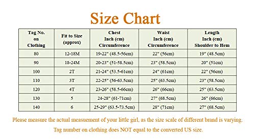 Lito Angels Princess Dress Up Costumes for Baby Girl Halloween Christmas Fancy Party with Accessories Size 18-24 Months