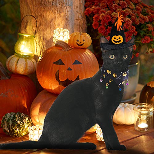 Rypet Cat Halloween Costume - Halloween Cat Collar with Bells and Halloween Pumpkin Hat Cat Costume Suit for Cats and Small Dogs…