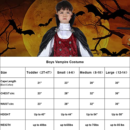 Lingway Toys Kids Vampire of Darkness Costume for Boys Halloween Dress Up Parties with Accessories 12-14