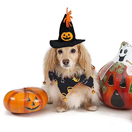 Rypet Cat Halloween Costume - Halloween Cat Collar with Bells and Halloween Pumpkin Hat Cat Costume Suit for Cats and Small Dogs…