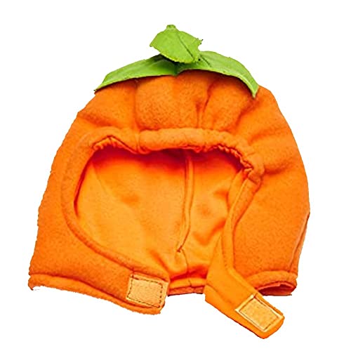 Dress Up America unisex baby Pumpkin infant and toddler costumes, Orange, 6-12 Months US