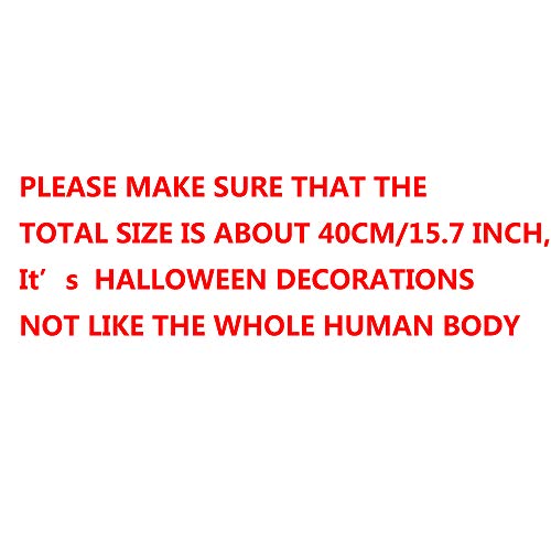 Halloween Skeletons Decorations Full Body Posable Joints 15'' Skeletons 2 Pack