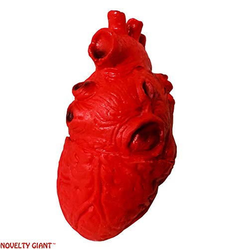 NOVELTY GIANT WWW.NOVELTYGIANT.COM Life Size Foam Heart Gory Halloween Prop