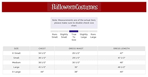 Adult Deluxe Kansas Girl Costume Women's Blue Gingham Dress Large