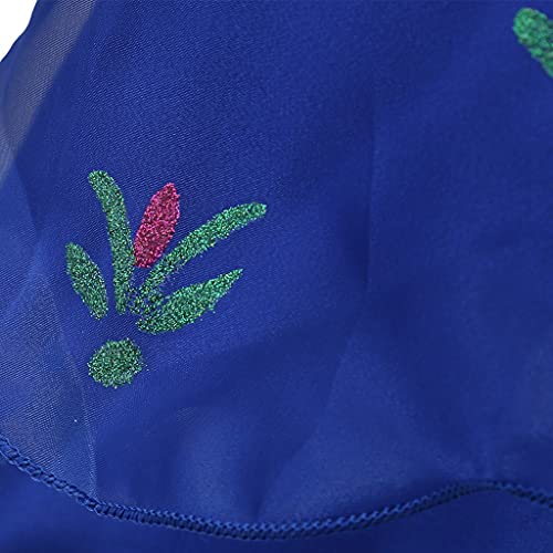 DreamHigh Halloween Princess Costume Girl's Dress With Cape Size 4 Years