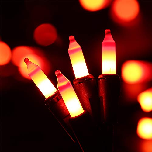 HAYATA Halloween String Lights 24ft 100 Incandescent Orange Mini Bulbs Lights, Halloween Lighting Decor for Outdoor and Indoor Use, Fairy Garden, Yard, Home, Party, Holiday, Halloween Decorations