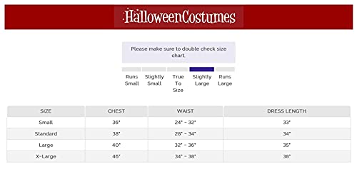 Rubie's womens Wizard of Oz Dorothy Dress and Hair Bows Adult Sized Costumes, Blue/White, Large US