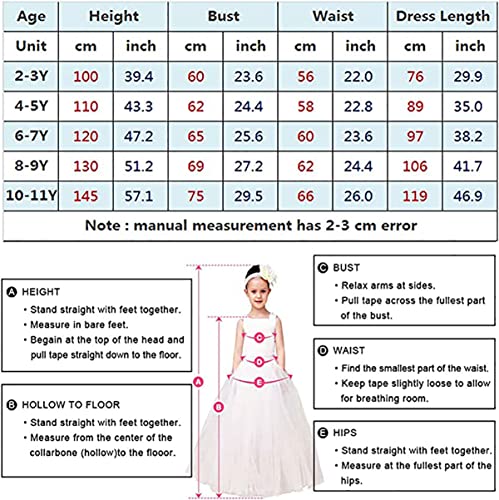 SNDSHOP Cinderella Princess Dress Costume for Toddler Girls Halloween 2-11T