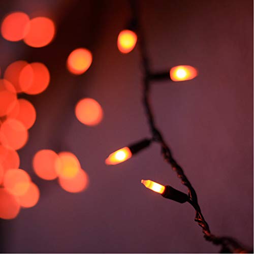 HAYATA Halloween String Lights 24ft 100 Incandescent Orange Mini Bulbs Lights, Halloween Lighting Decor for Outdoor and Indoor Use, Fairy Garden, Yard, Home, Party, Holiday, Halloween Decorations