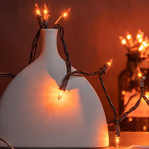 YULETIME Orange Christmas Lights with Brown Wire, 66 Feet 200 Count UL Certified String Lights, Pack of 2 Sets 33 Ft 100 Count Amber Incandescent Mini Light Set (Orange)