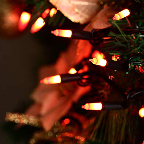 HAYATA Halloween String Lights 24ft 100 Incandescent Orange Mini Bulbs Lights, Halloween Lighting Decor for Outdoor and Indoor Use, Fairy Garden, Yard, Home, Party, Holiday, Halloween Decorations