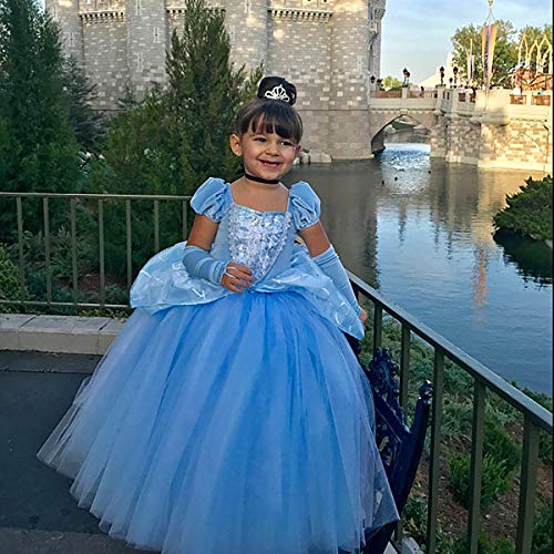 SNDSHOP Cinderella Princess Dress Costume for Toddler Girls Halloween 2-11T