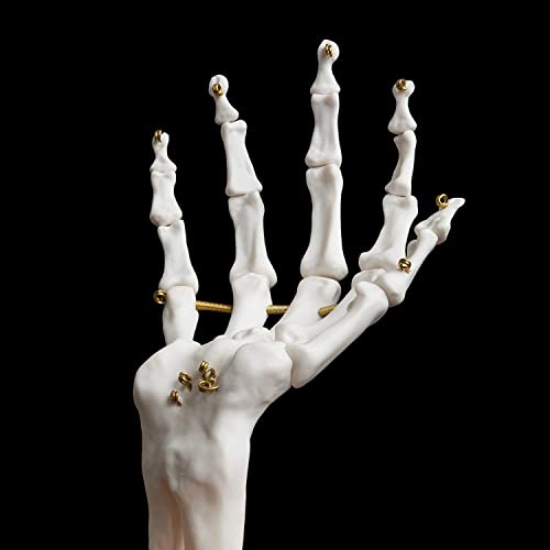 Gothic Skeleton Hand Ring and Jewelry Stand