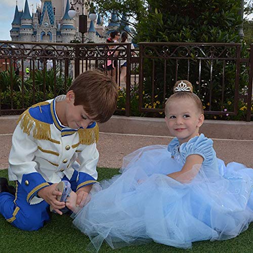 SNDSHOP Cinderella Princess Dress Costume for Toddler Girls Halloween 2-11T