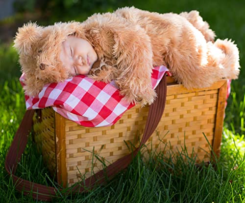 Princess Paradise Baby Snuggle Bear Deluxe Costumes, Tan, 3 to 6 Months US