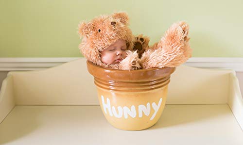 Princess Paradise Baby Snuggle Bear Deluxe Costumes, Tan, 3 to 6 Months US