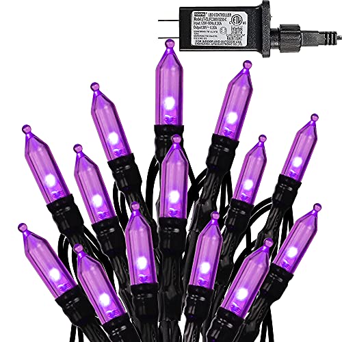 Dazzle Bright 200 LED Halloween Mini String Lights, 65FT Light Up 8 Modes Halloween Decorations Fairy Lights for Indoor Outdoor Room Garden Holiday Party (Purple)