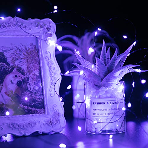 Halloween Purple Fairy String Lights: 12 Pack 7Ft 20 Led Battery Operated Firefly Lights on Black Wire Starry Moon Lights for DIY Party Bedroom Patio