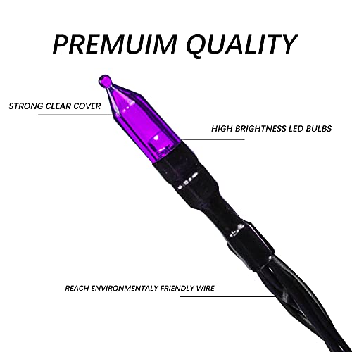 Dazzle Bright 200 LED Halloween Mini String Lights, 65FT Light Up 8 Modes Halloween Decorations Fairy Lights for Indoor Outdoor Room Garden Holiday Party (Purple)